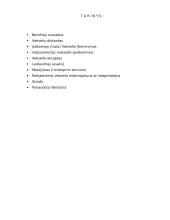 Vekseliai ir jų naudojimas 2 puslapis