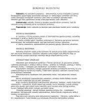 Vekseliai ir jų naudojimas 3 puslapis