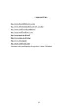 Turizmas Velse 14 puslapis