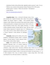 Turizmas Velse 4 puslapis