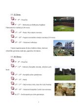 Turizmas Velse 7 puslapis