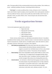 Verslas, įmonių tipai, verslininkas 2 puslapis