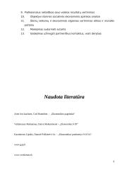 Verslas, įmonių tipai, verslininkas 8 puslapis