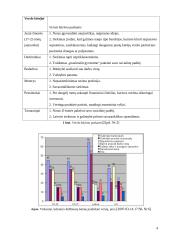 Verslas, verslo analizė 4 puslapis