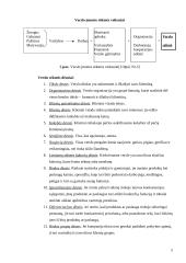 Verslas, verslo analizė 5 puslapis