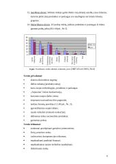 Verslas, verslo analizė 6 puslapis