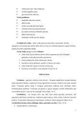 Verslas, verslo analizė 7 puslapis