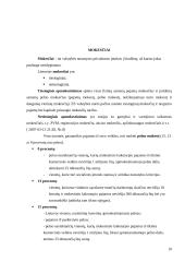 Verslas, verslo analizė 10 puslapis