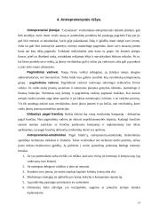 Verslininkai-antrepreneriai 13 puslapis