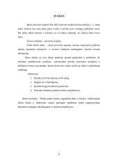 Verslo idėja, įmonės organizavimas 2 puslapis