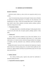 Verslo idėja, įmonės organizavimas 11 puslapis