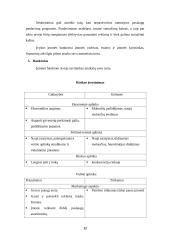 Verslo idėja, įmonės organizavimas 12 puslapis