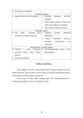 Verslo idėja, įmonės organizavimas 13 puslapis