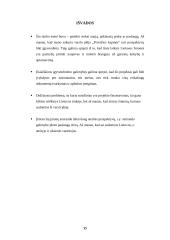 Verslo idėja, įmonės organizavimas 15 puslapis