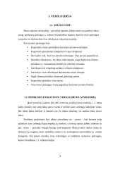 Verslo idėja, įmonės organizavimas 3 puslapis