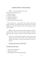 Verslo idėja, įmonės organizavimas 4 puslapis