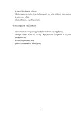 Verslo idėja, įmonės organizavimas 5 puslapis