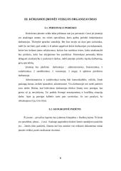 Verslo idėja, įmonės organizavimas 6 puslapis