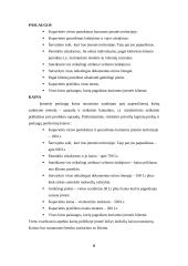 Verslo idėja, įmonės organizavimas 8 puslapis