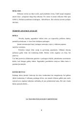 Verslo idėja, įmonės organizavimas 9 puslapis