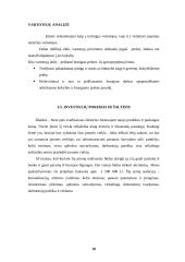 Verslo idėja, įmonės organizavimas 10 puslapis