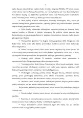 Verslininkystės vaidmuo šalies ekonomikoje 7 puslapis