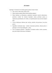 Verslininko etinis kodeksas 15 puslapis