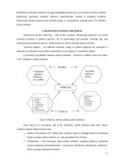Verslo analizė: UAB "Žaidma" 11 puslapis