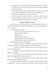 Verslo analizė: UAB "Žaidma" 12 puslapis