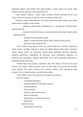 Verslo analizė: UAB "Žaidma" 13 puslapis