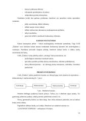 Verslo analizė: UAB "Žaidma" 14 puslapis