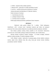 Verslo analizė: UAB "Žaidma" 15 puslapis