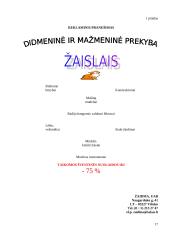 Verslo analizė: UAB "Žaidma" 17 puslapis