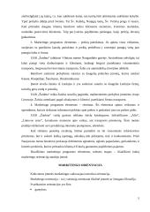 Verslo analizė: UAB "Žaidma" 5 puslapis