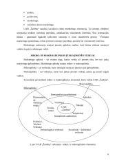Verslo analizė: UAB "Žaidma" 6 puslapis