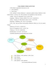 Verslo analizė: UAB "Žaidma" 7 puslapis
