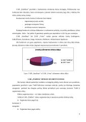Verslo analizė: UAB "Žaidma" 9 puslapis