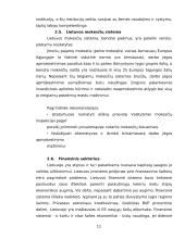 Verslo aplinka Lietuvoje ir palyginimas su kitomis šalimis 9 puslapis