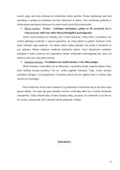 Verslo etika. Etinis minimumas dalykinėje veikloje 6 puslapis