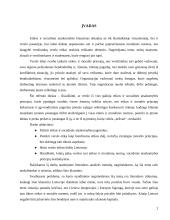 Verslo etika ir socialinė atsakomybė 2 puslapis