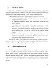 Verslo etika ir socialinė atsakomybė 17 puslapis