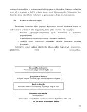 Verslo etika ir socialinė atsakomybė 19 puslapis