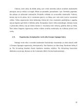 Verslo etika ir socialinė atsakomybė 20 puslapis