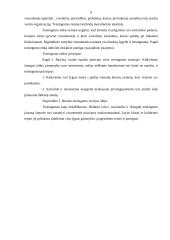 Verslo etikos teorijos 6 puslapis