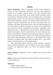 Verslo finansavimo sprendimai 2 puslapis