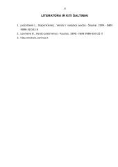 Verslo finansavimo sprendimai 13 puslapis