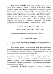 Verslo finansavimo sprendimai 5 puslapis