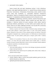 Verslo finansavimo sprendimai 8 puslapis