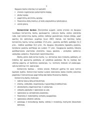 Verslo finansavimo sprendimai 9 puslapis