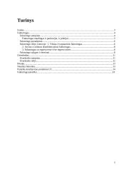 Verslo finansavimo būdai: faktoringas ir overdraftas 2 puslapis